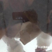 Pantyhose Poop And Squash Sammie Cee