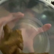 Goddessnixie123 My Beautiful Asshole Pushing Out Your Slave Food Per Usual Goddess Nixie