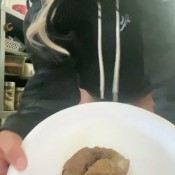 Goddessnixie123 Mmmm Love Shitting On A Plate Goddess Nixie