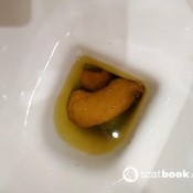 Kittyskatt First Time Bidet Use Kitty Klitt