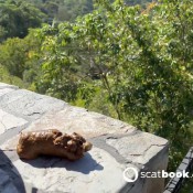 Elle Clark Dirty Girl