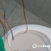 Kittyskatt Extreme Poop Stacking 2 Kitty Klitt