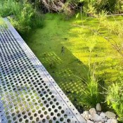 Marsh Madness Dropping A Floater For My Date Pulsiferpaprocki Pulsifer Paprocki
