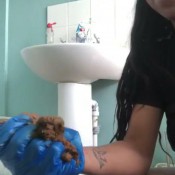 MistressTiana Softieee