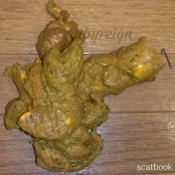 Reignzplayhouse Pov Scat Watch My Delicious Shit Come Out My Ass And Then Ill Show You It Up Close So You Can See All The Beautiful Colors Goddess Reign