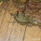 Reignzplayhouse Enjoy The View Of My Hot Shit As I Verbally Humiliate You Goddess Reign