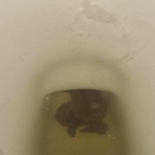 Gassylaszy Good Soup