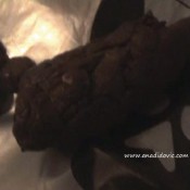 Ana Didovic Nocturnal Dump