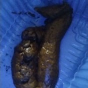 Poopoogirl666 Poop In A Container