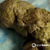 Vidafoxx Hairy Pussy That Pisses..farts..and Poops On You