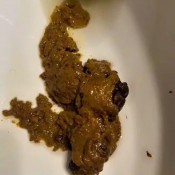 Iamkapri Fast Food Fast Shit New Kapri Styles