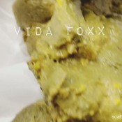 Vidafoxx Farting And Pooping
