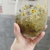 Elurasavage Spooky Chocolate Treat