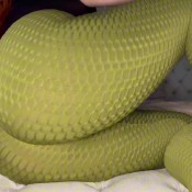 Meatpits Fart Compilation Part 2 October 2024 Jade Leigh