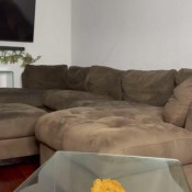 Msnars My Brown Is Clear As Glass