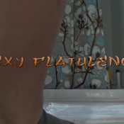 Sexy Flatulence Solid Six Incherss_6incher