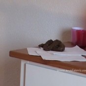 Ana Didovic Ana As A Chocolate Soft Ice Machine