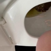 Queenblondee Diarrhea- Big Dark Brown Pile - It Hurts Sara Bee