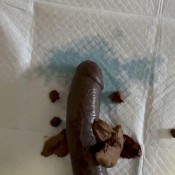 Niquenasty On The Dick