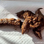 Pulsiferpaprocki Soles Holes And Shit Pulsifer Paprocki