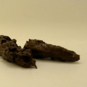 Dirty Lesbians Shit Sucker Wants My Shitmorning31221