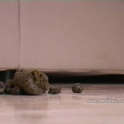 Ana Didovic Big Hard Marbles