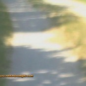 Naturalscatgirls Clip334