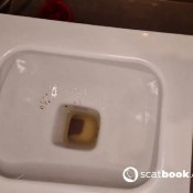 Kittyskatt Seductive Toilet Efro Huge Log Kitty Klitt