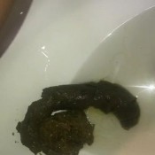 Itsdiosa Solid Massive Shit