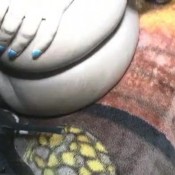 Sydnee Capri Spandex Farts