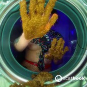 Sweetbettyparlour Planet Colonization With A Surprise Sweet Betty Parlour