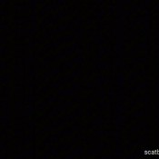 Kittyskatt Scatbook Awards Kitty Klitt