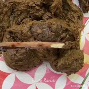 Pulsiferpaprocki Stringy Shit On Rainy Morning Pulsifer Paprocki