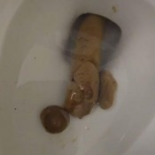 Asianvibez Quickie Thick-yyyy