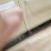 Sweet_lily_84 Scat 331 Sweet Lily