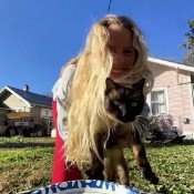 Dropping A Log By A Log Pulsiferpaprocki Pulsifer Paprocki