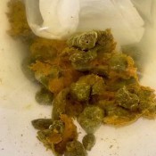 Pulsiferpaprocki Weird Looking Shit Pulsifer Paprocki