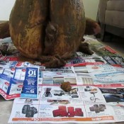 Secretlover3 All Play And No Work To Slutty To Function