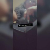 Mzjigglygoddess Fart Video4 Gassyjiggly