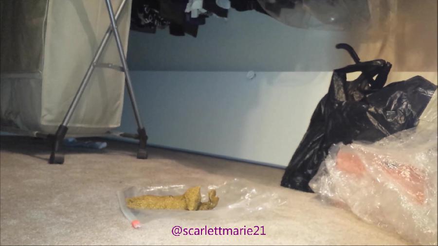 Big Shit In My Closet! Hd Scatlover72 Scarlett Marie